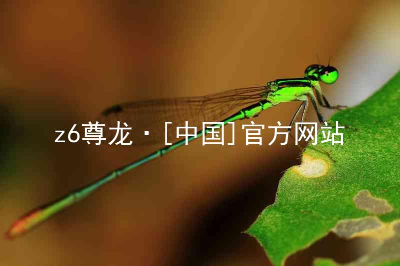 z6尊龙·[中国]官方网站