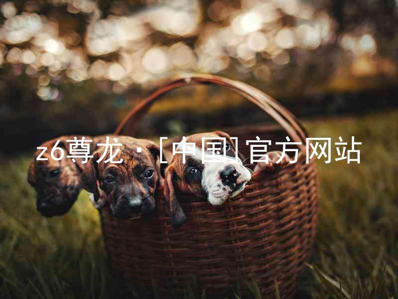 z6尊龙·[中国]官方网站